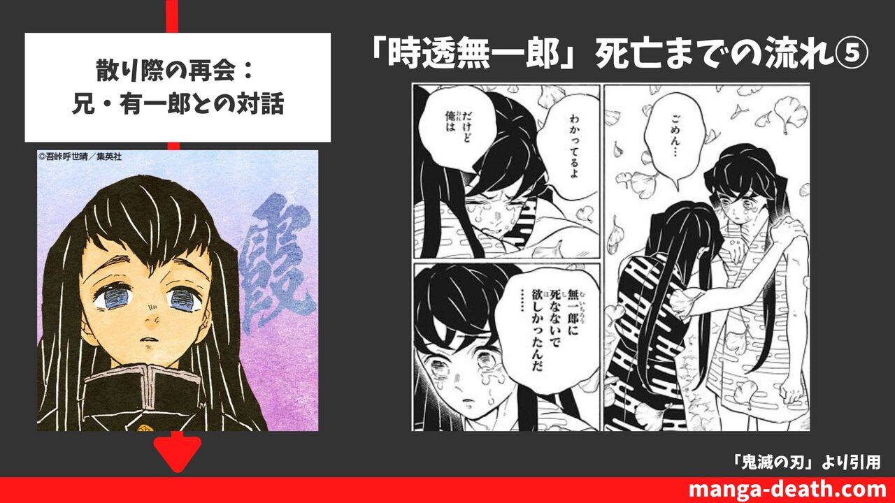 散り際の再会：兄・有一郎との対話（21巻179話）