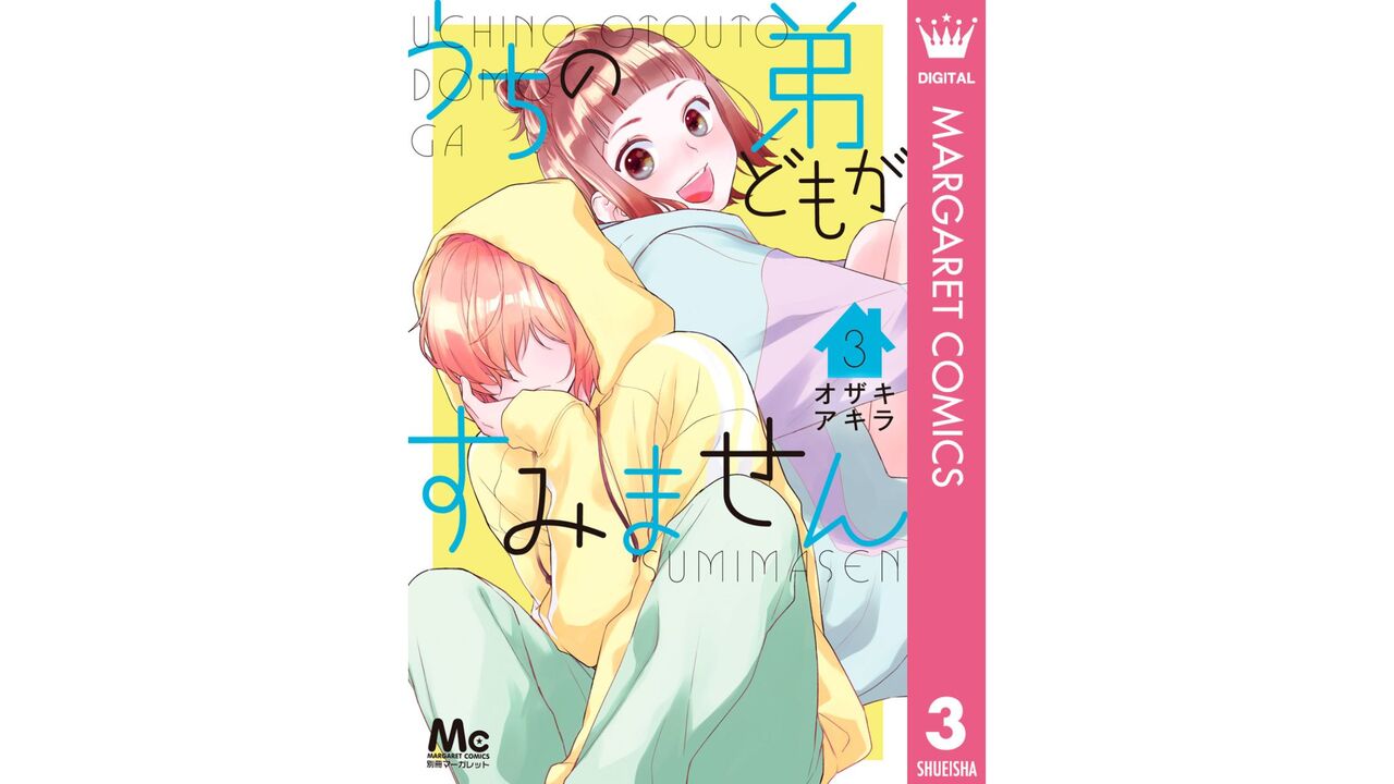 うちの弟どもがすみません3巻
